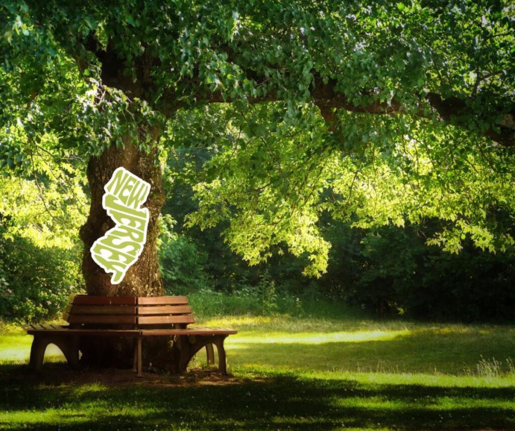 5 Hidden Gem Parks in New Jersey You’ll Want to Visit