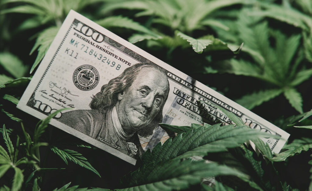 NJEDA launches $15M cannabis financing pilot program NJEDA launches $15M cannabis financing pilot program