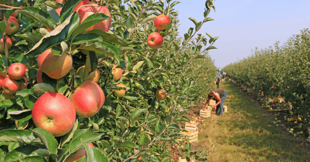 NJIB's Guide to New Jersey Events September 12