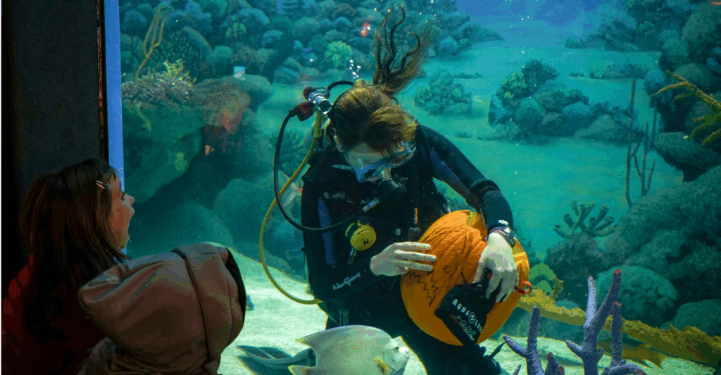 NJIB's Guide to New Jersey Events September 26