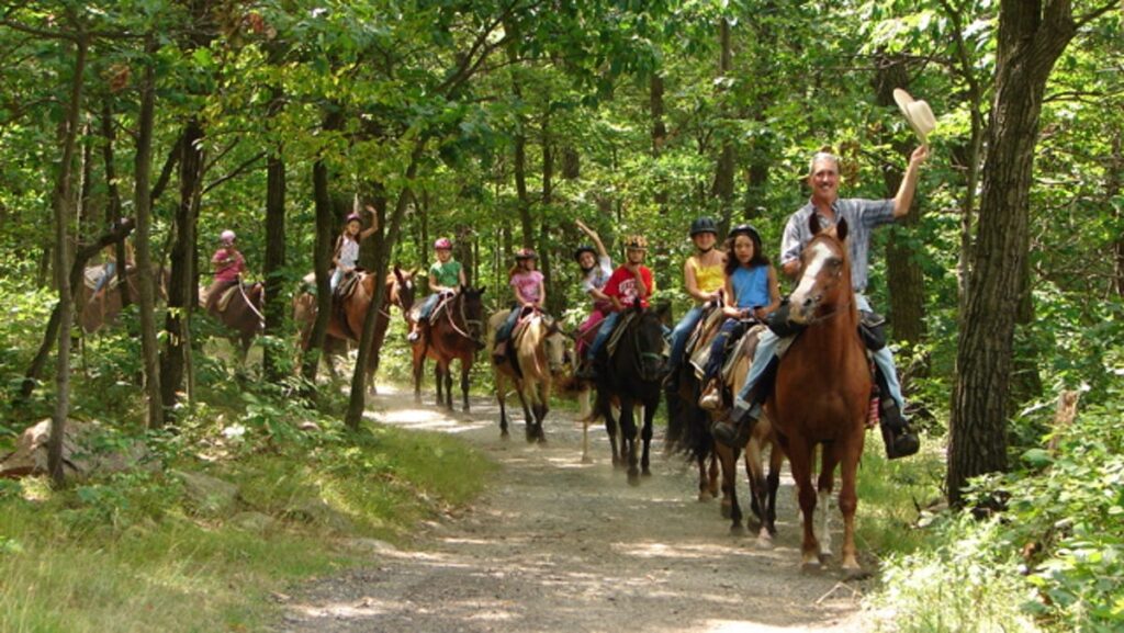 Things to do in North Jersey: 2025 fall bucket list