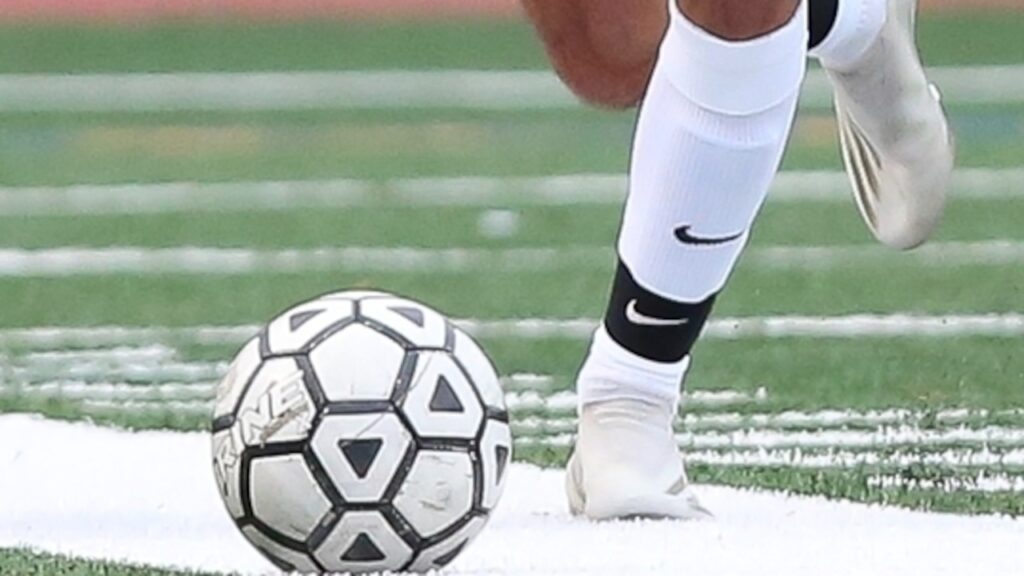 Tellie scores game-winner, Mountain Lakes bests Hanover Park - Boys soccer recap