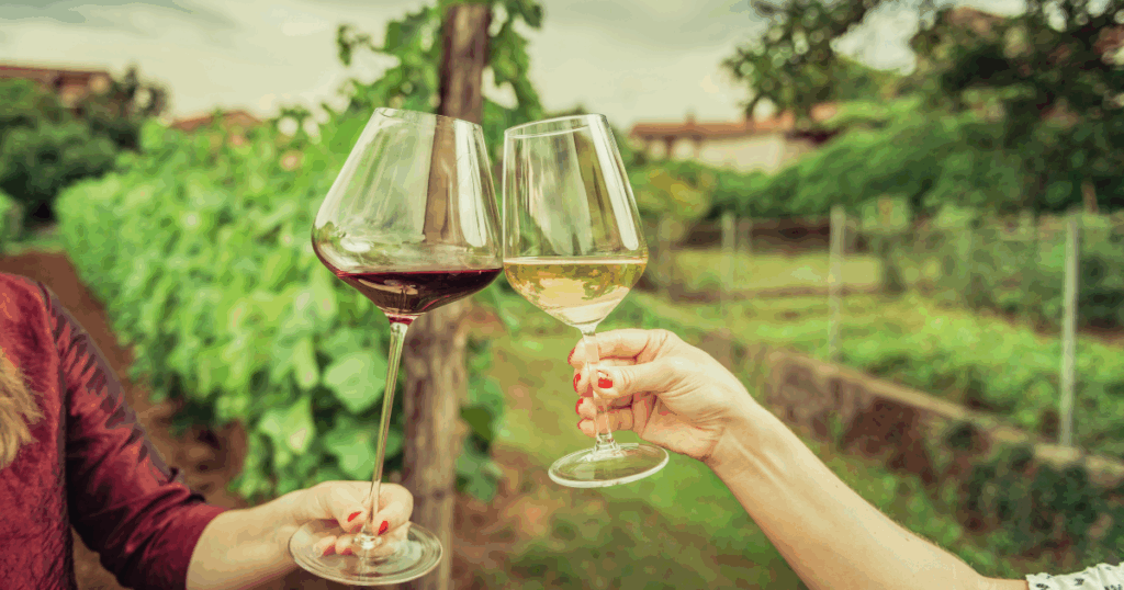 Celebrate NJ Wine Month All November Long!