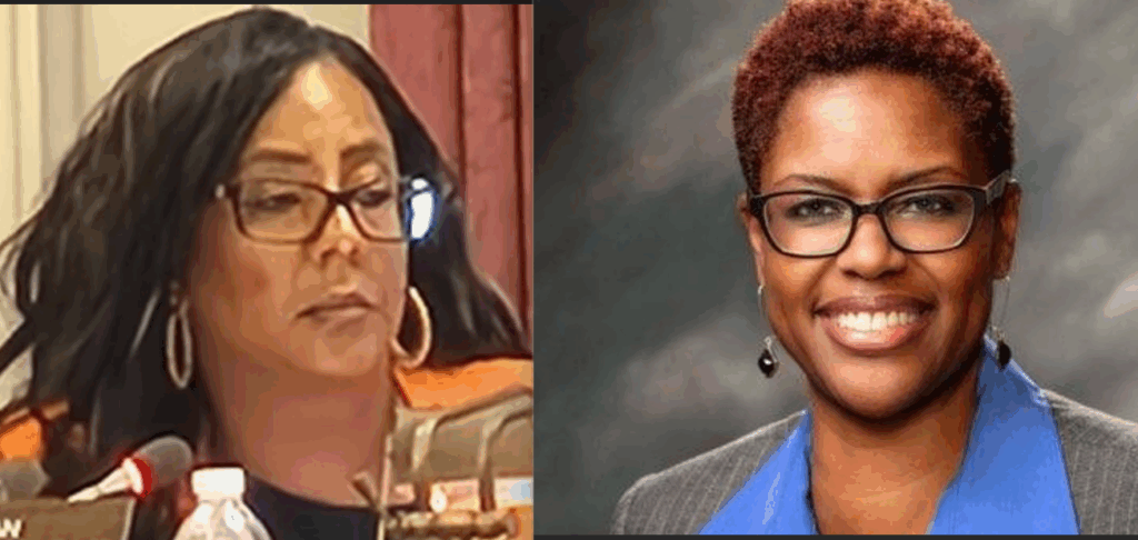 The Fast-Developing 2026 Democratic Primary in CD-12