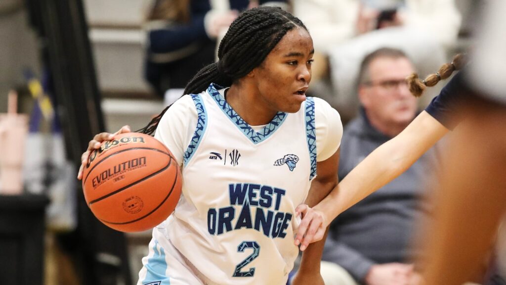 Top daily girls basketball stat leaders for Monday, Jan. 19