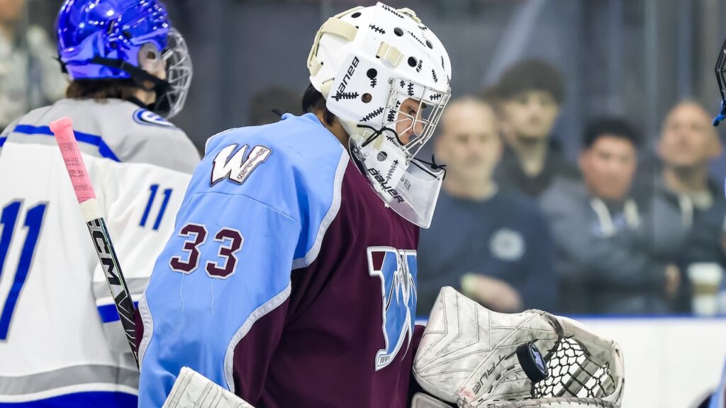 N.J. boys hockey Public Co-Op stats leaders for Feb. 11