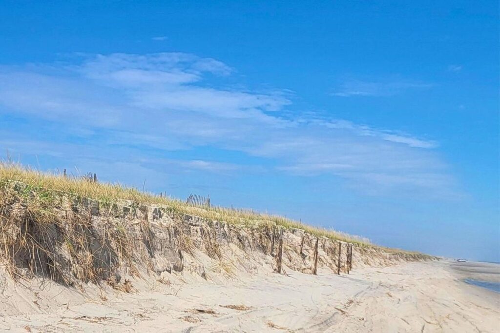 Jersey Shore Report for Oct. 3, 2026