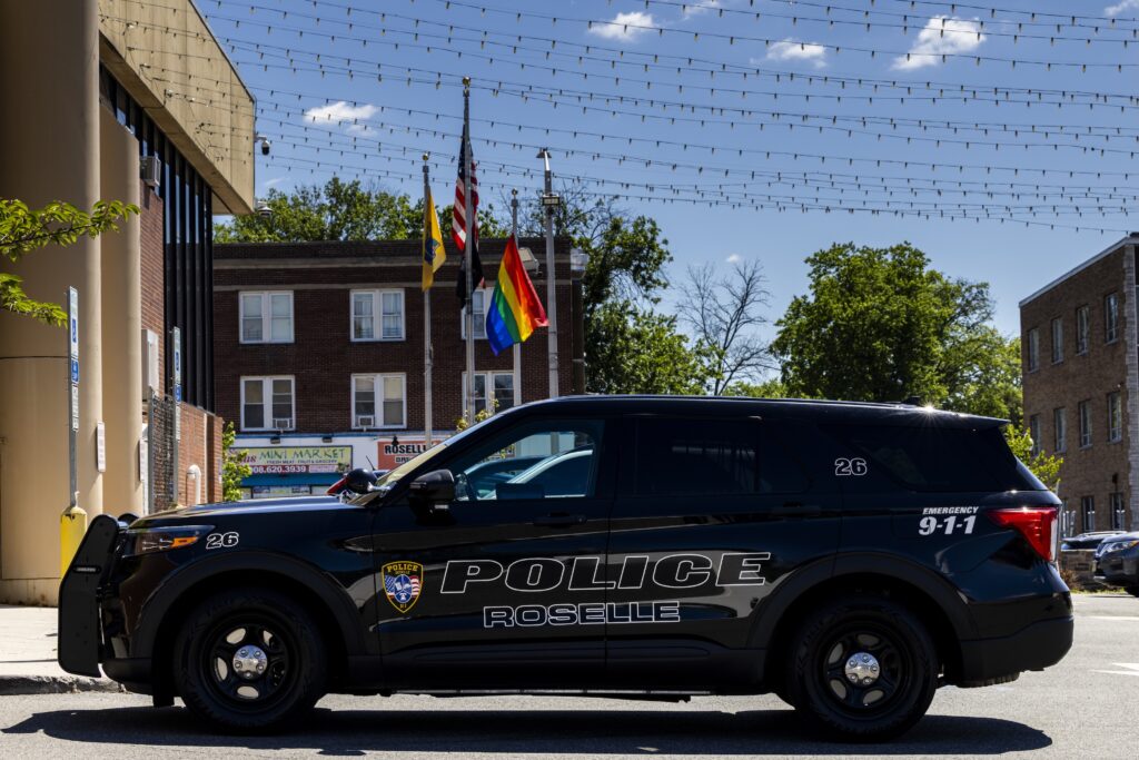 Judges reinstate Roselle police chief’s firing over use of anti-gay slur Judges reinstate Roselle police chief’s firing over use of anti-gay slur