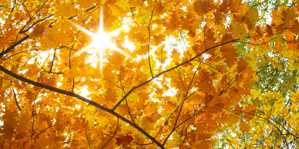 N.J. weather: Coolest night of the season arrives in N.J.